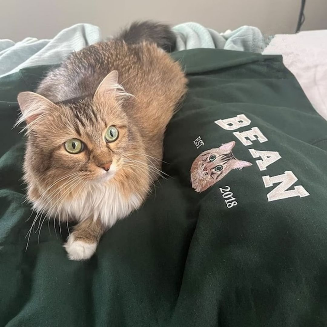 Iconic Custom Cartoon Style Embroidered Pet Sweatshirt & Hoodie with Pet Name and Age image 2