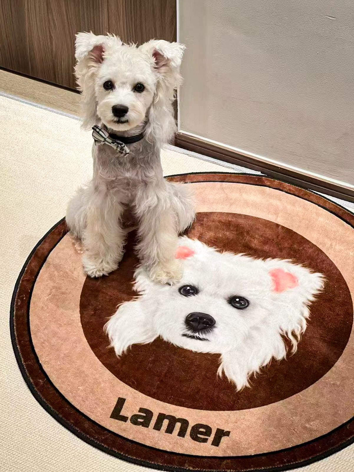 Iconic Pet Carpet image 3
