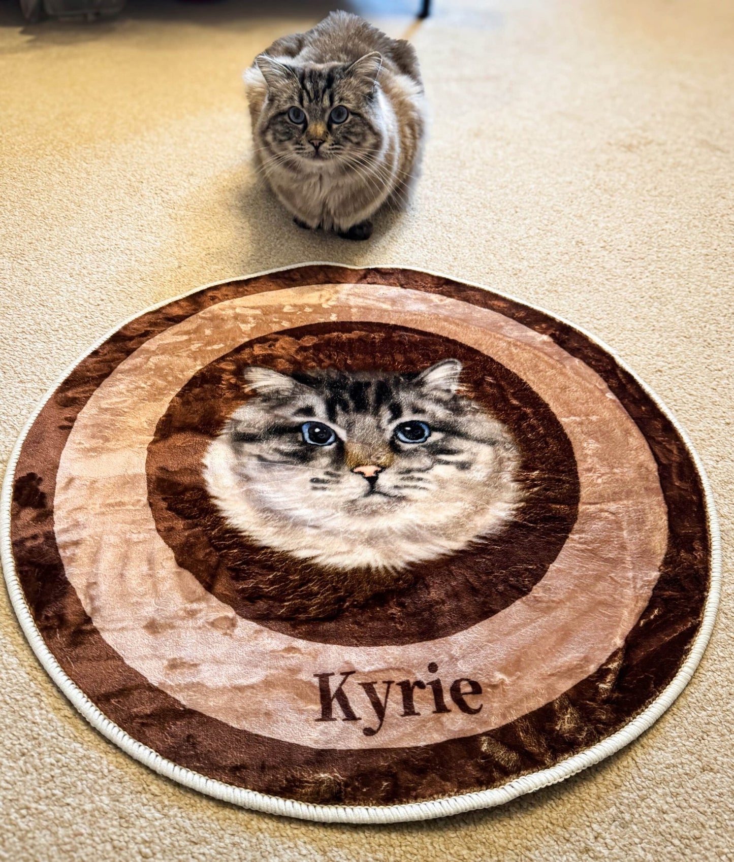 Iconic Pet Carpet image 1