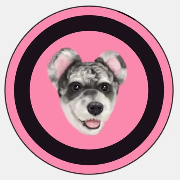 Iconic Pet Carpet - 100cm*100cm, Barbie Pink image