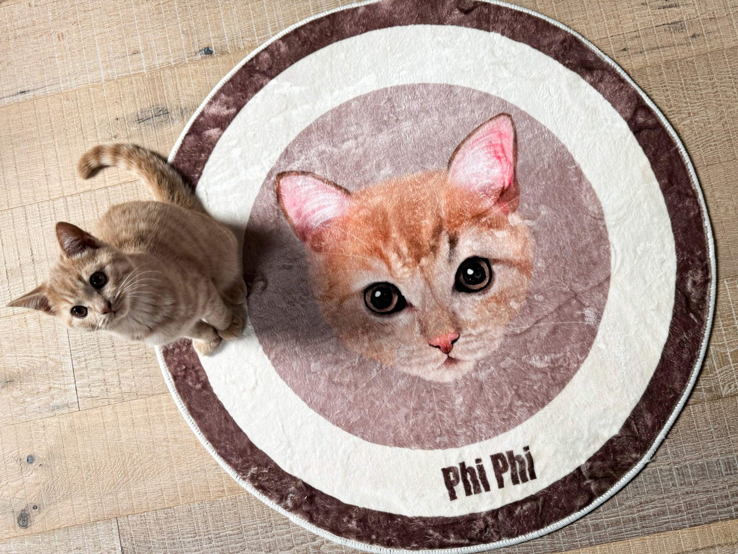 Iconic Pet Carpet image 2