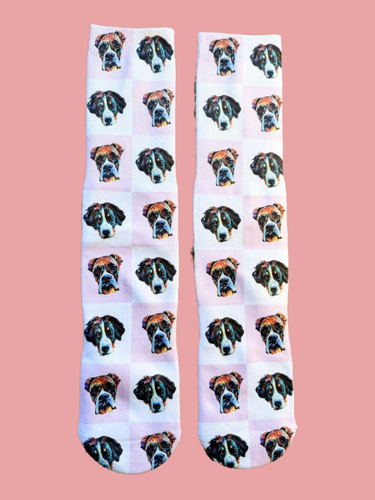 Iconic Pet Socks image 0