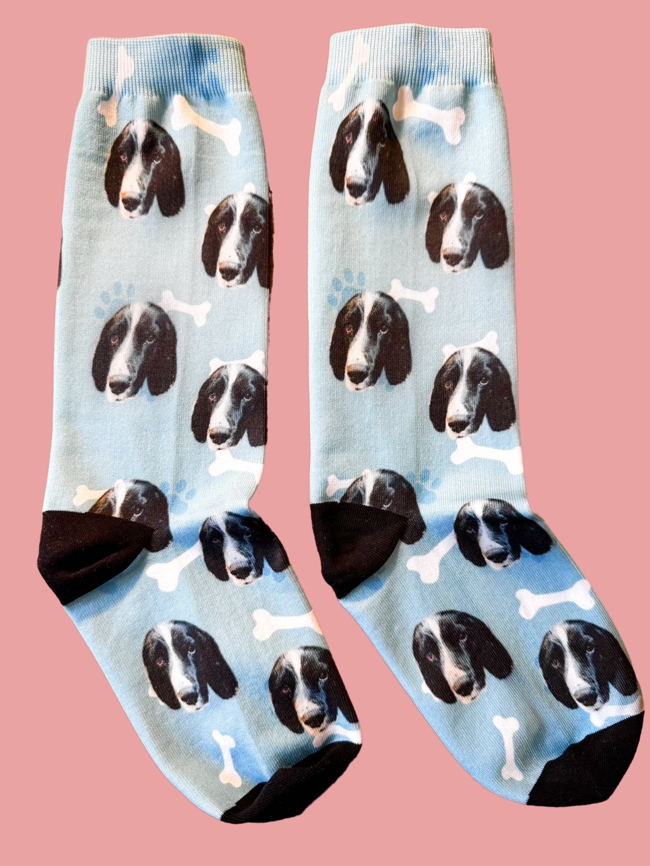 Iconic Pet Socks image 2