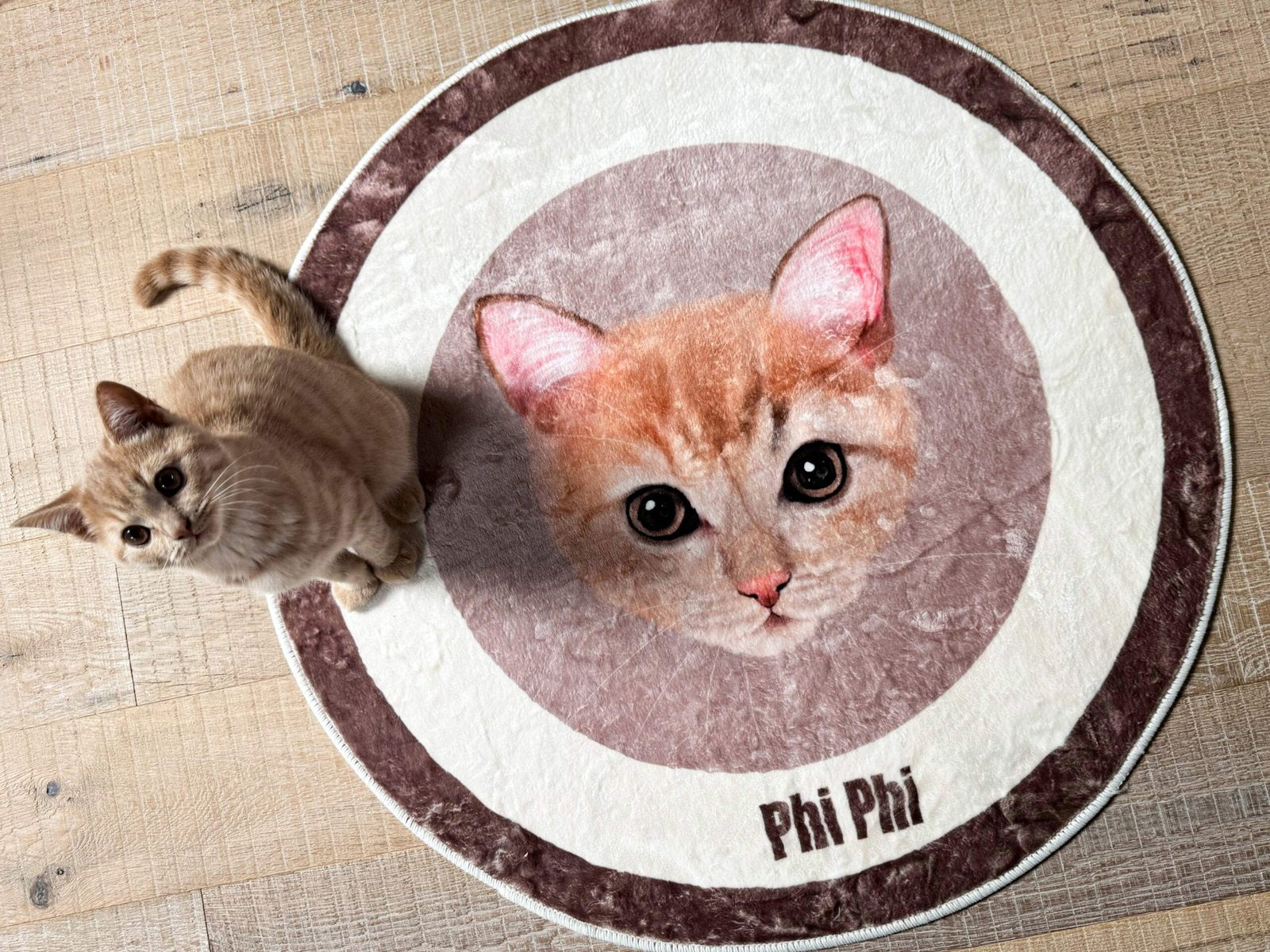 Iconic Pet Carpet image 2