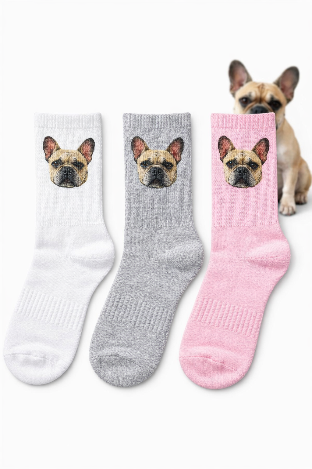 Iconic Pet Socks