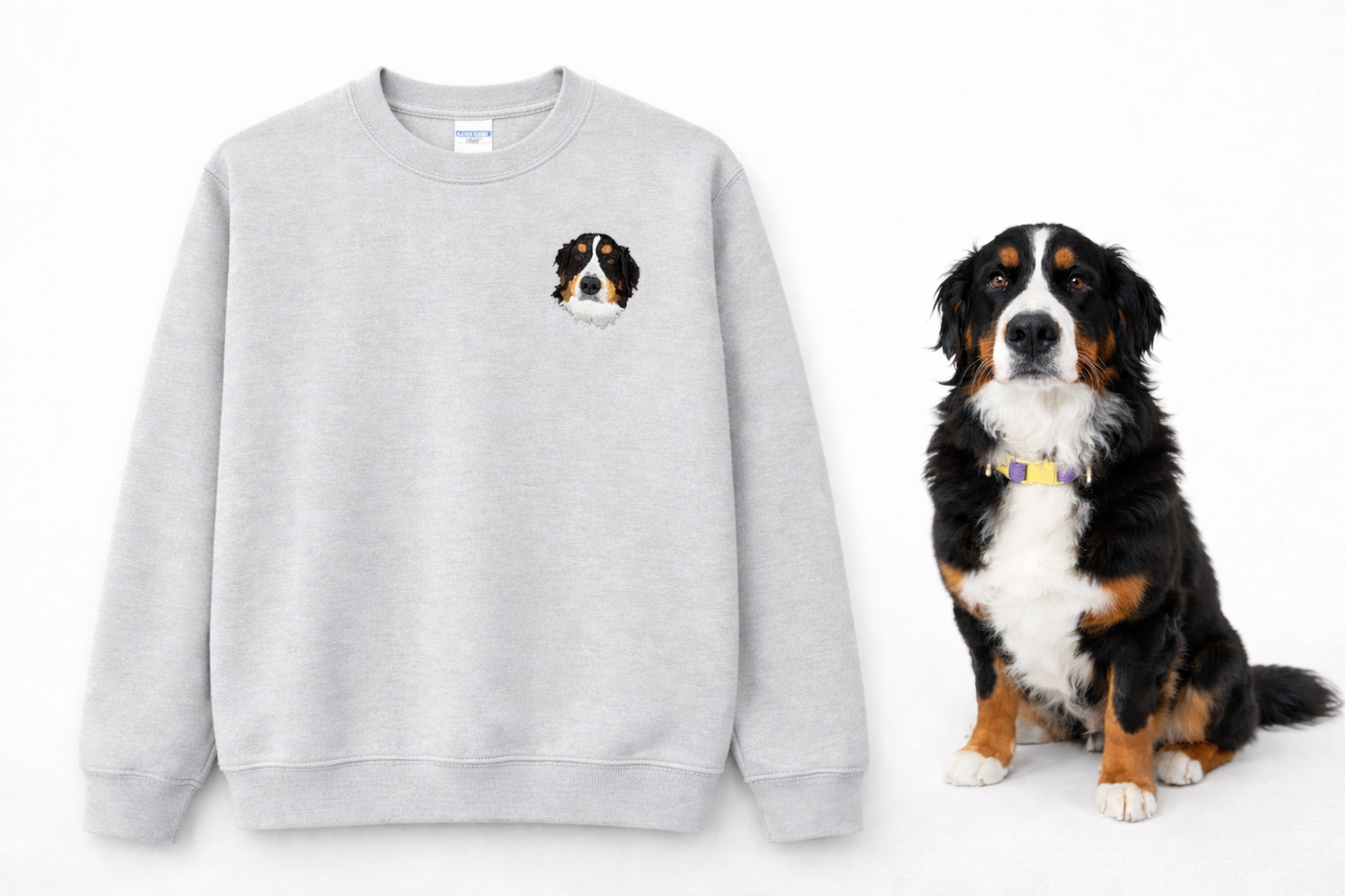 Iconic Pet Sweatshirt