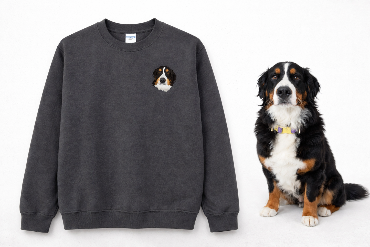 Iconic Pet Sweatshirt
