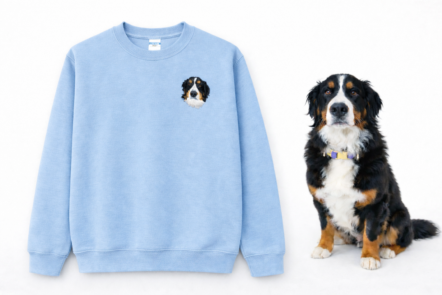 Iconic Pet Sweatshirt