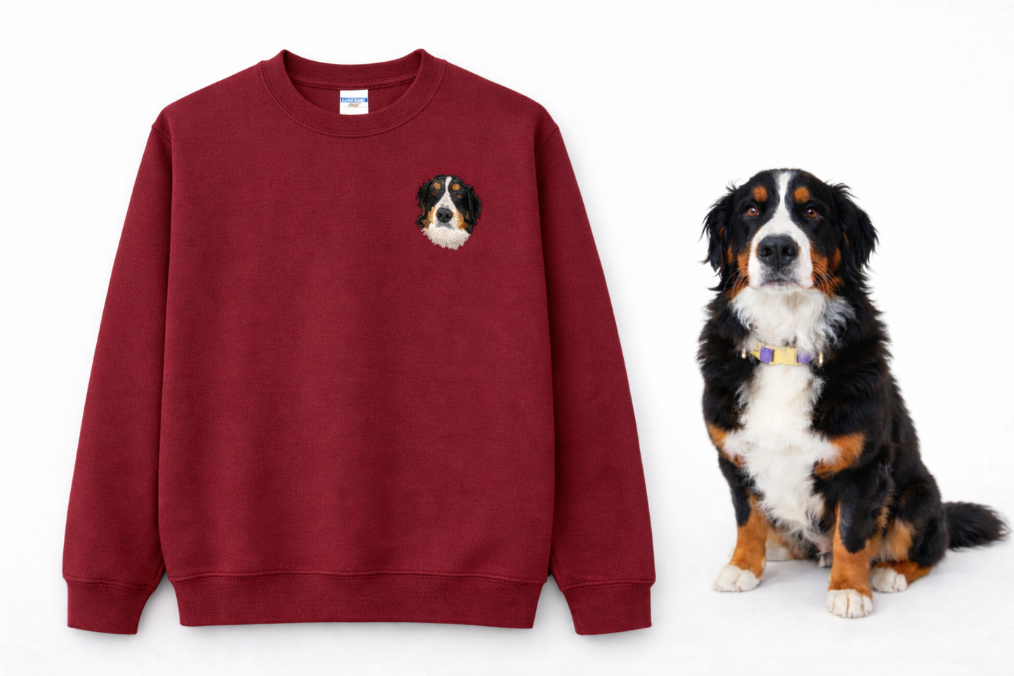 Iconic Pet Sweatshirt