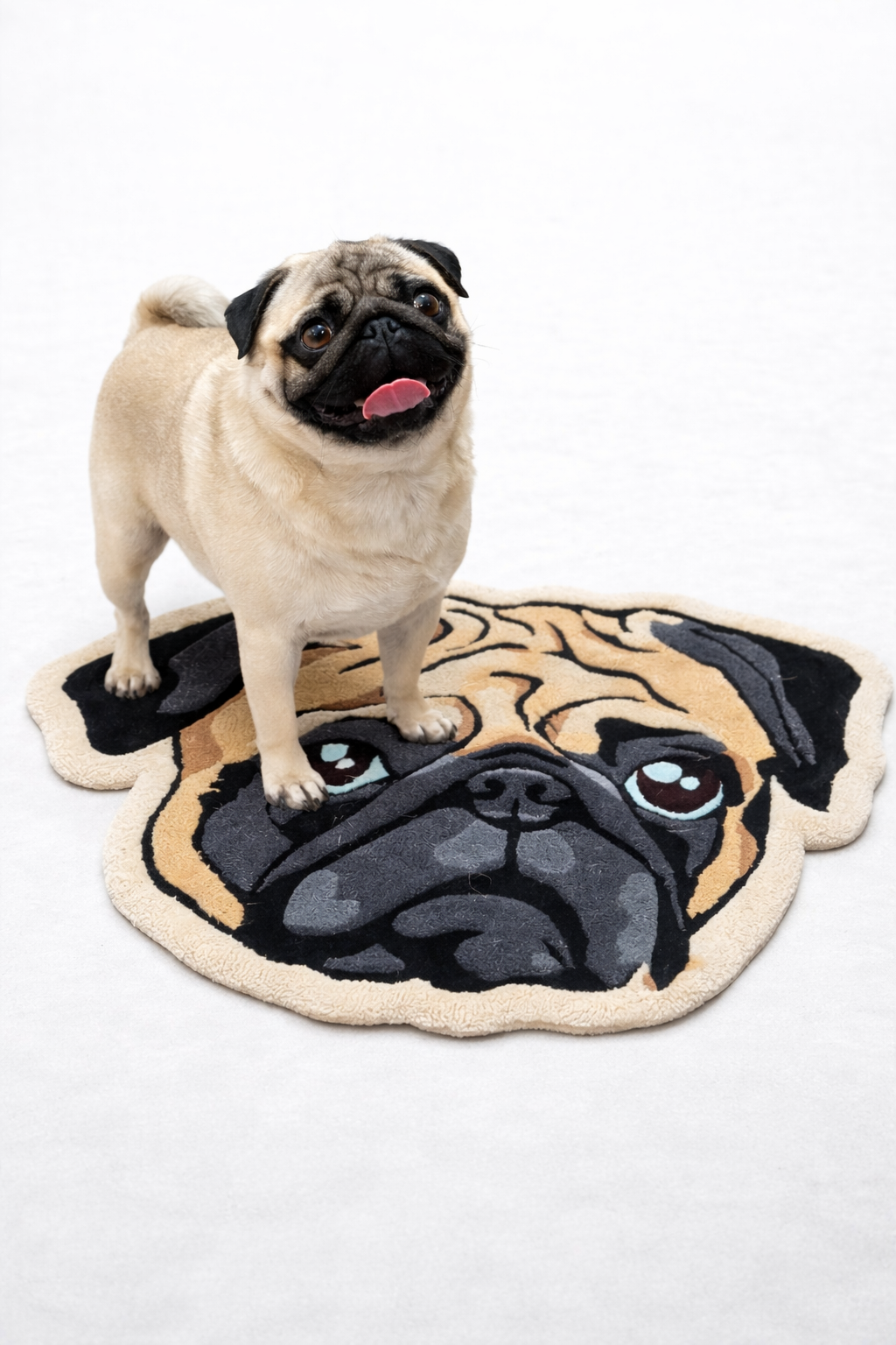 Iconic Pet Carpet
