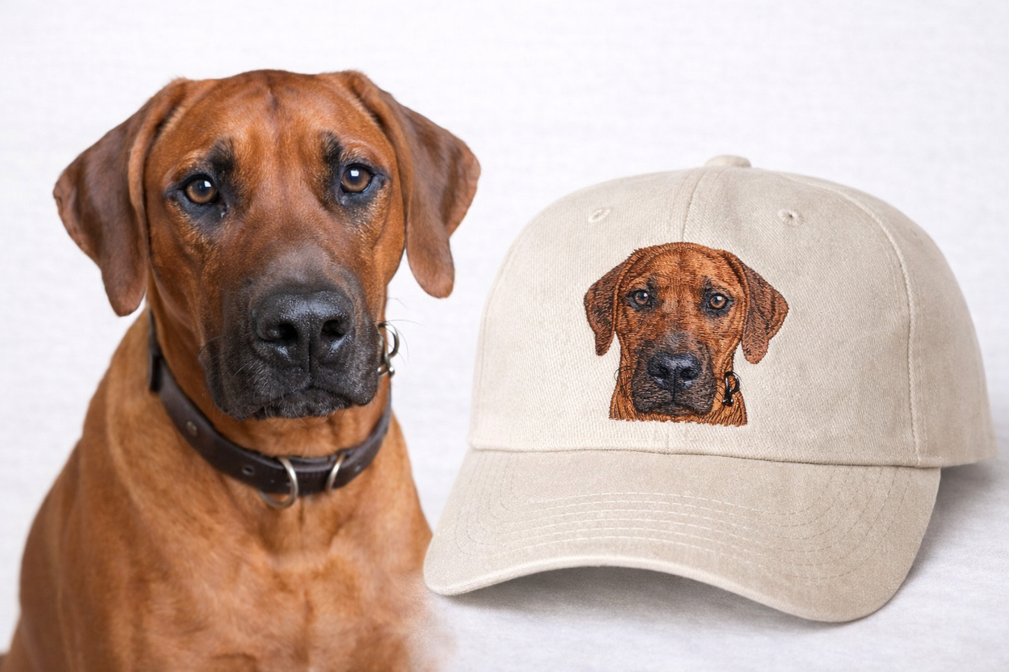 Iconic Pet Cap