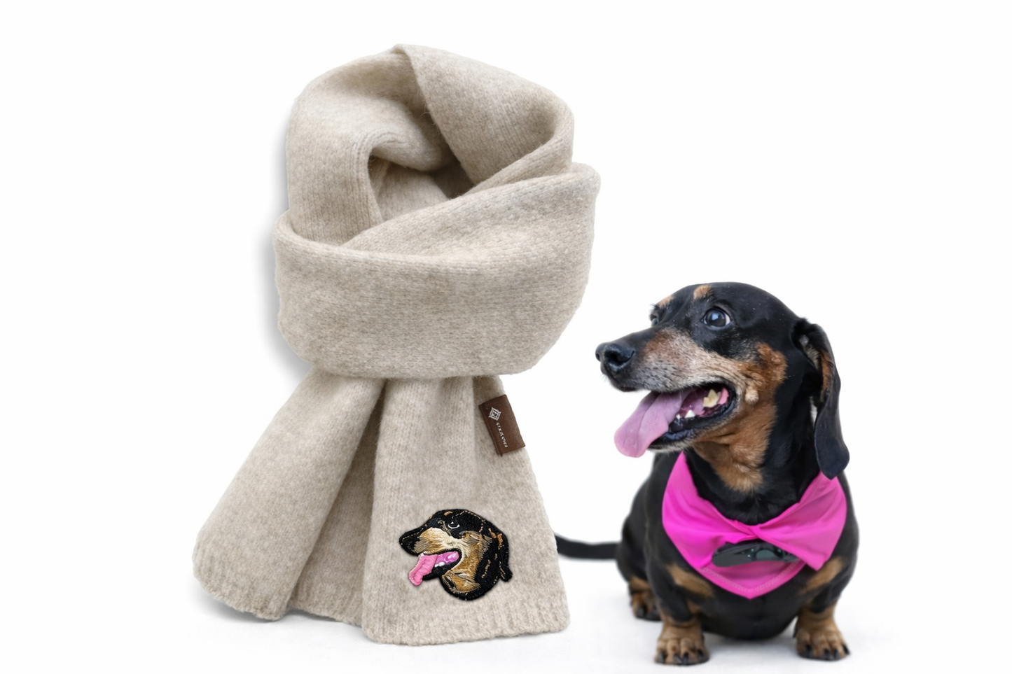 Iconic Scarf