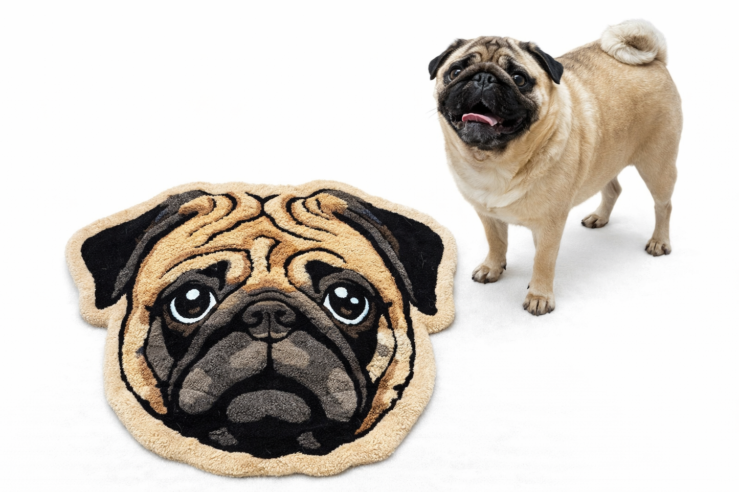 Iconic Pet Carpet
